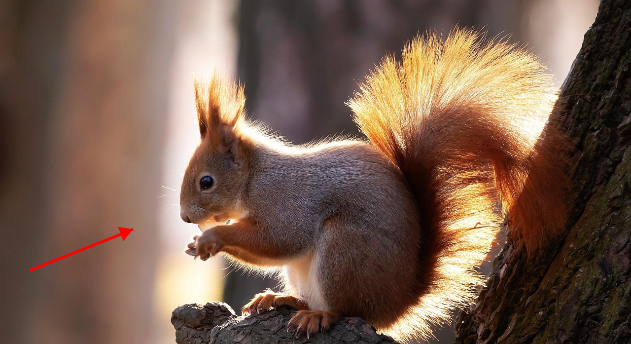 Light Control Example